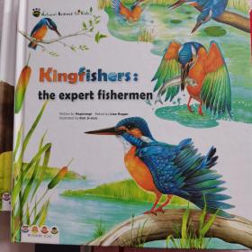 kingfishers:the expert fishermen