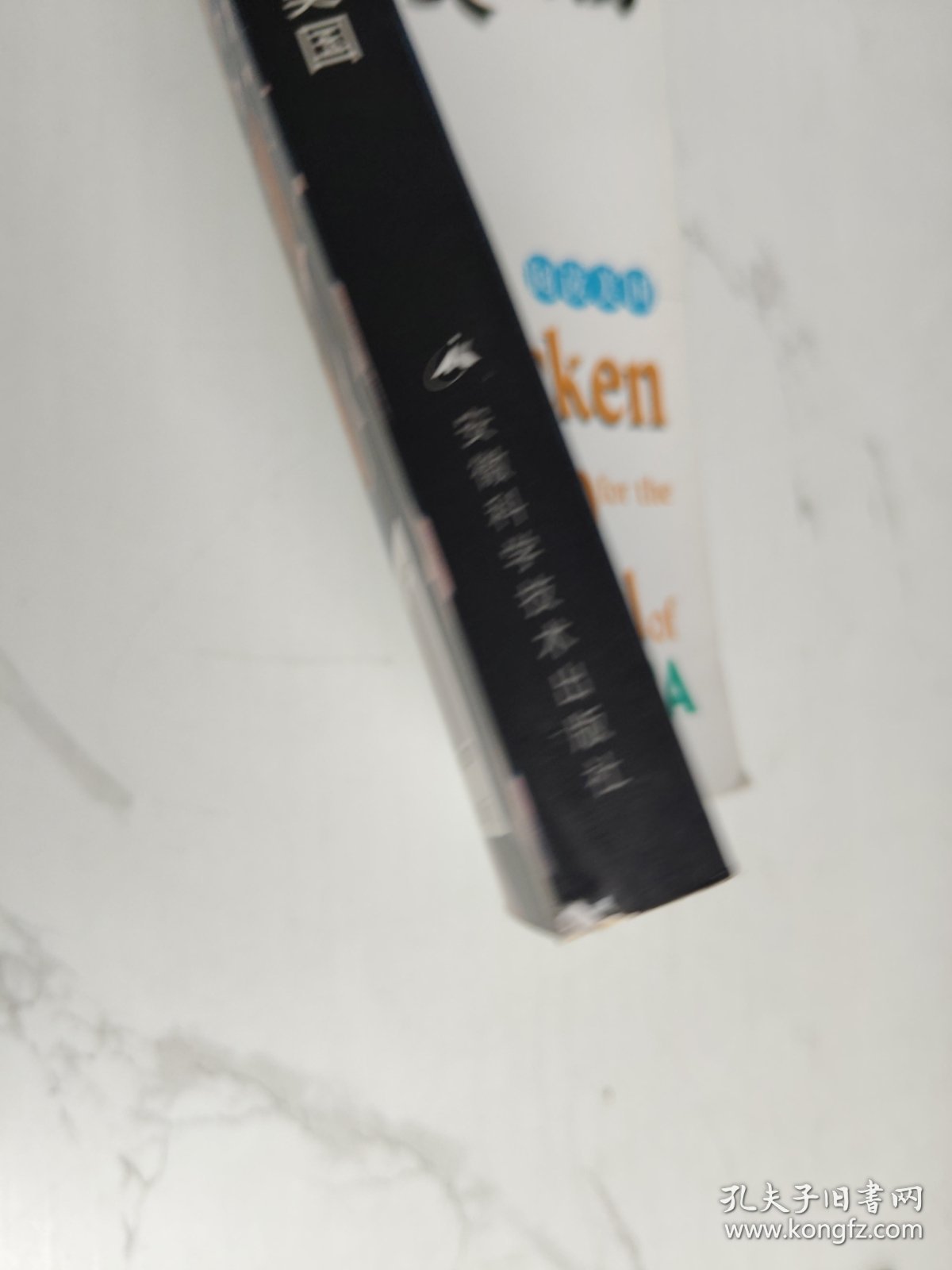 心灵鸡汤：阅读美国