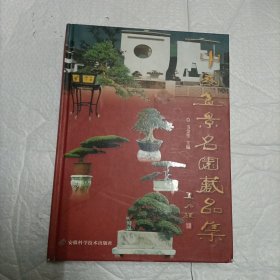 中国盆景名园藏品集【硬精装 大16开483页 一版一印品好】