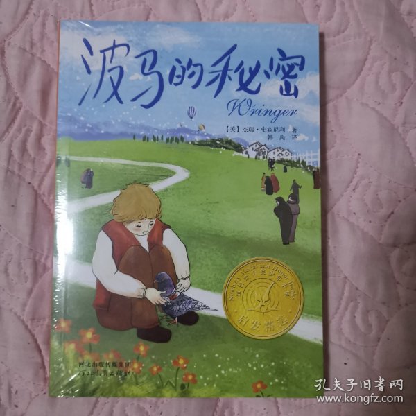 波马的秘密：启发精选纽伯瑞大奖少年小说