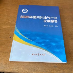 2023年国内外油气行业发展报告【实物拍照现货正版】