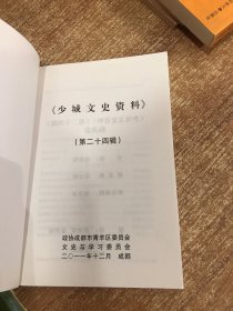 少城文史资料:第二十一辑，第二十二辑，第二十四辑3本合售