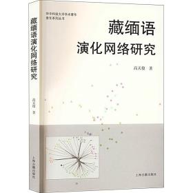 藏缅语演化网络研究：：： 语言－少数民族语言 高天俊 新华正版