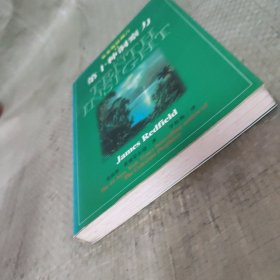 塞莱斯廷预言Ⅱ第十种洞察力
