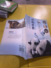 动物世界