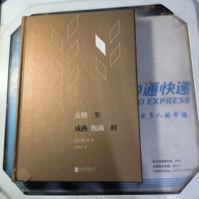 麦穗至成熟饱满时
