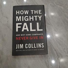 How The Mighty Fall：And Why Some Companies Never Give In