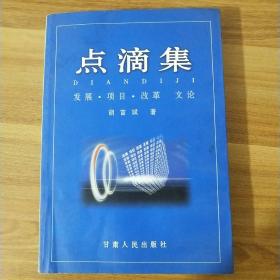 点滴集:发展·项目·改革文论