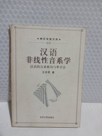 汉语非线性音系学：汉语的音系格局与单字音