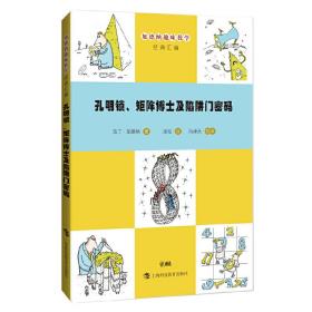 孔明锁、矩阵博士及陷阱门密码