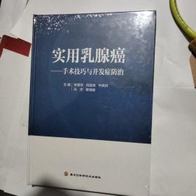 实用乳腺癌  手术技巧与并发症防治