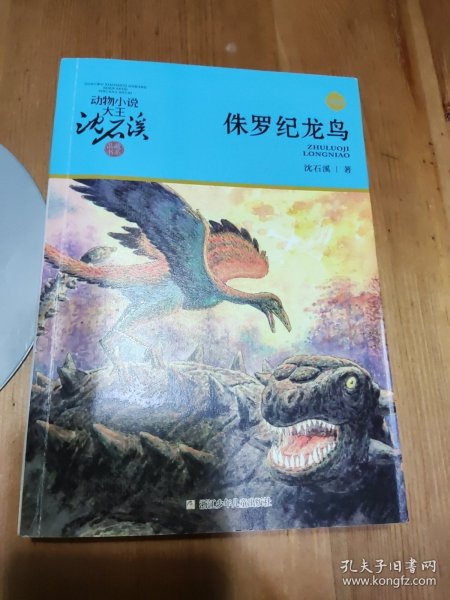 动物小说大王沈石溪·品藏书系：侏罗纪龙鸟