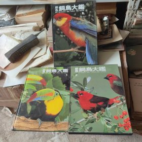 原色，饲鸟大铿123