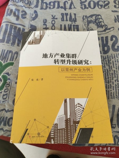 地方产业集群转型升级研究:以常州产业为例