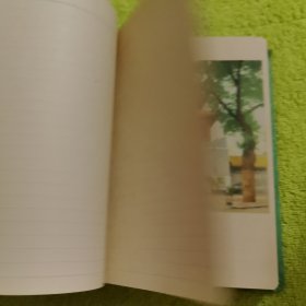 百花齐放 笔记本