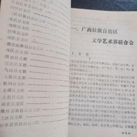 广西各级文联概况(资料集)