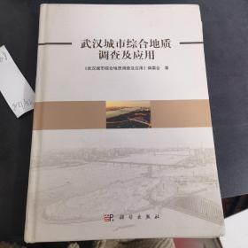 武汉城市综合地质调查及应用