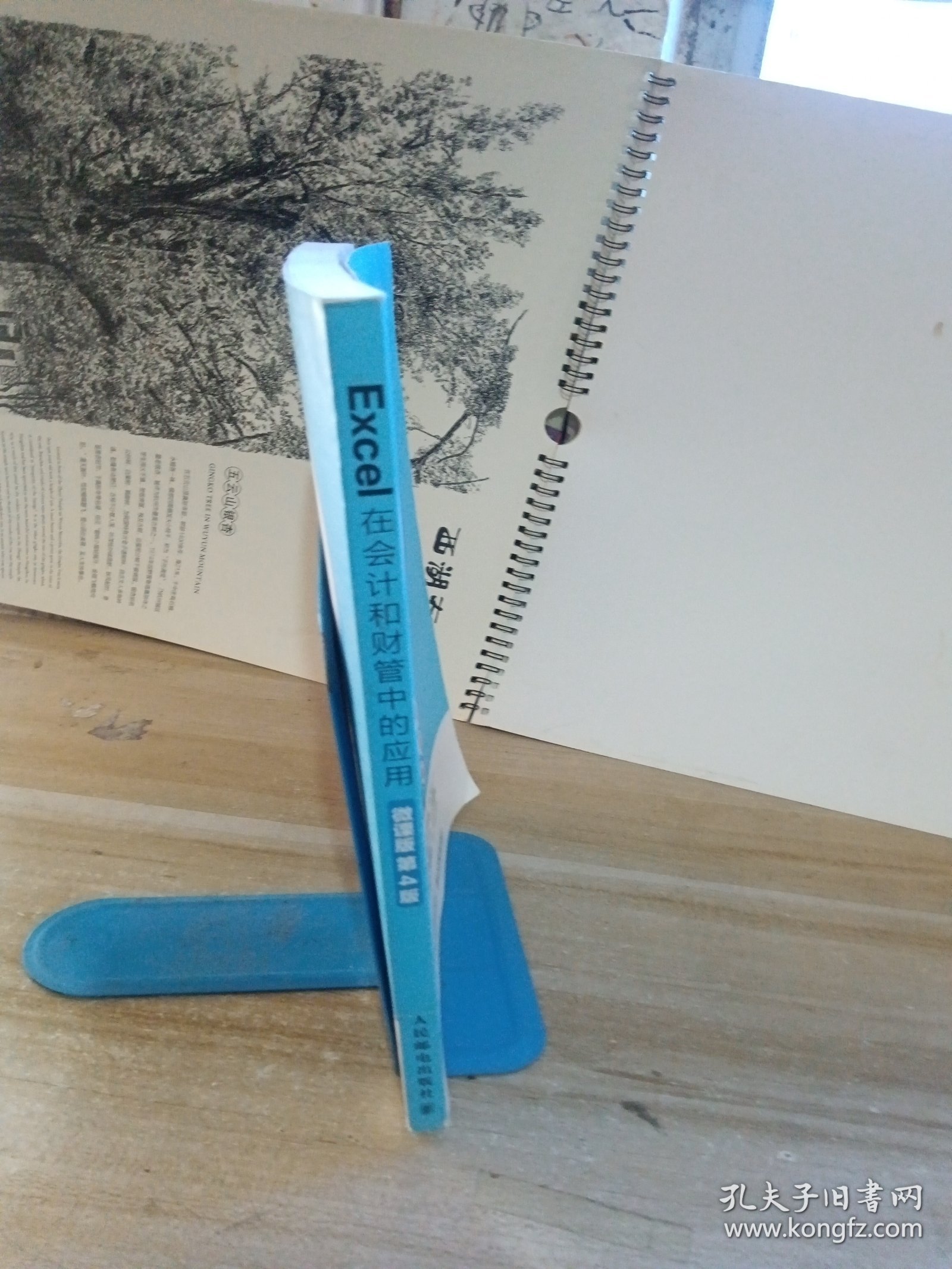 Excel在会计和财管中的应用（微课版第4版）