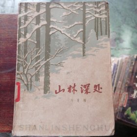 山林深处