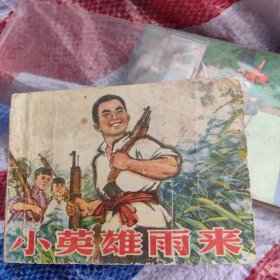 小英雄雨来