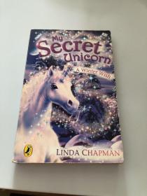 My  Secret  Unicorn  A  Winter Wish