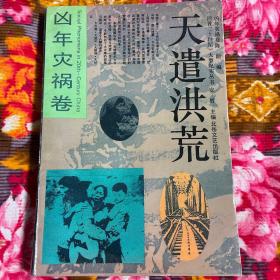 天遣洪荒-二十世纪中国天灾人祸历史纪实