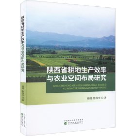 陕西省耕地生产效率与农业空间布局研究