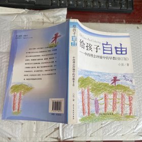 给孩子自由：中西理念冲撞中的早教