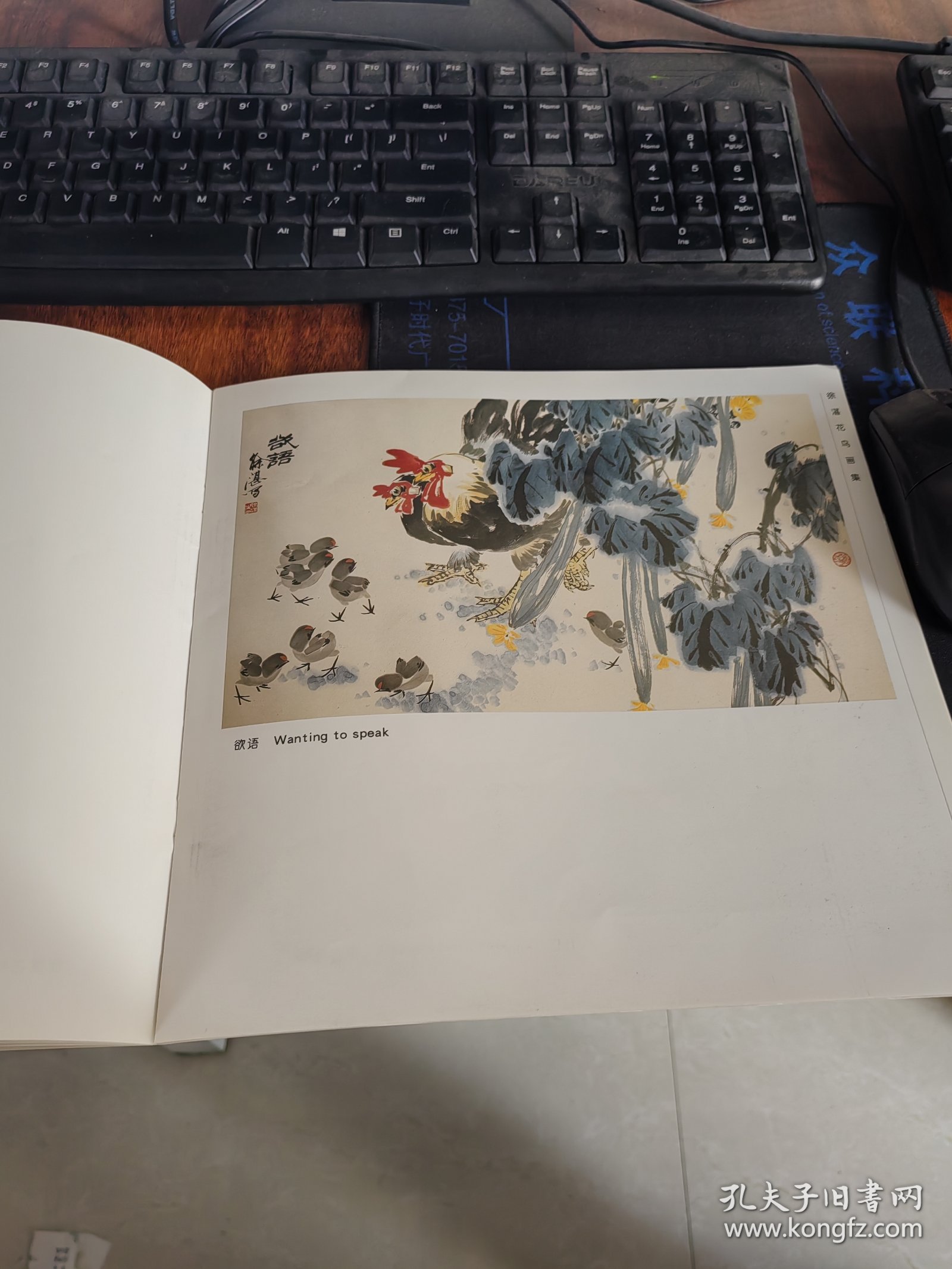 徐湛花鸟画集