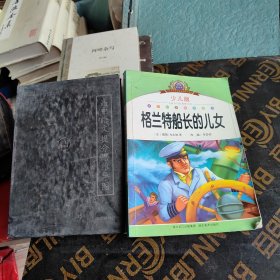 高兰特船长的儿女 高中语文提分思维导图（空白）