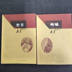 野草 呐喊 插图本（2本合售）