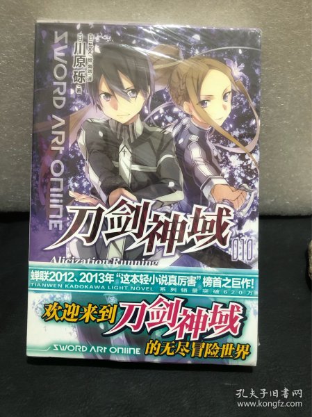 刀剑神域 10：Alicization Running