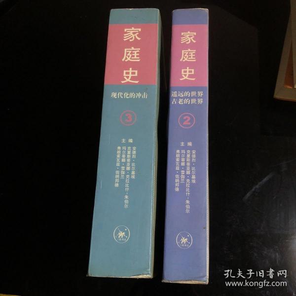 家庭史（全三卷）：现代化的冲击