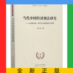 當代中國經濟刑法研究--以改革開放現代化與強國富民為視野/社科學術智庫