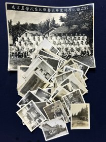 49-53年 南京农学院畜牧兽医系毕业同学纪念 附 南农前身 南京大学校区照片 及南京中山陵 明孝陵 紫金山 南大丁家桥 女生宿舍 农学院等照片 共75枚 详见图影及描述