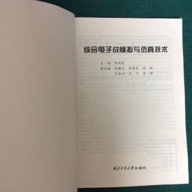 综合电子战模拟与仿真技术