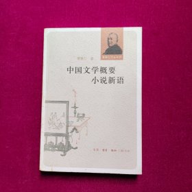 中国文学概要 小说新语