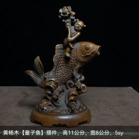 黄杨木【童子鱼】