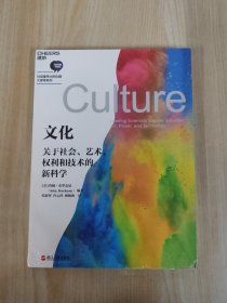 文化：关于社会、艺术、权利和技术的新科学