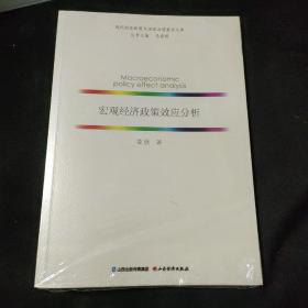 宏观经济政策效应分析