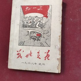 战地黄花：钢九一三战史