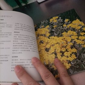 花木园艺修剪