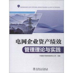 电网企业资产绩效管理理论与实践