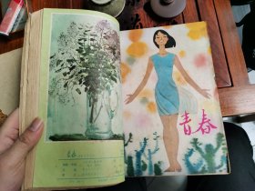 八十年代文学丛书25本合售 艺术世界1981年第1-6期（6本） 芙蓉文学丛刊创刊号1980年第一期（1本） 青春1980年第7-12期（6本） 上海文学第1、2、3、10、11、12期（6本） 人民文学1976年第5期（1本） 小说选刊1981年第12期（1本） 艺丛1981年第1、2、3期（3本） 解放军文艺1980第4期（1本）