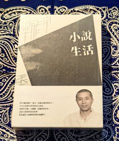 《小说生活：毕飞宇、张莉对话录》