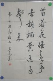 李向东先生，河北泊头人，1952年生，现为中国书协会员，山东省书协顾问，山东省青年书协名誉主席，山东省文联委员，山东画院高级画师。曾为济南市第八、九、十、十一届政协委员。并连续四届担任山东书协副主席。