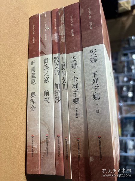 质量文集 安娜·卡列宁娜上下册 上尉的女儿 散文诗 帕拉莎 贵族之家 前夜 叶甫盖尼 ·奥涅金6册合售