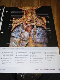 a photographic atlas for anatomy&physiology（解剖学和生理学的摄影图集）