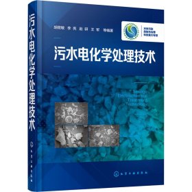 新华正版 污水电化学处理技术 胡筱敏 等 9787122355713 化学工业出版社