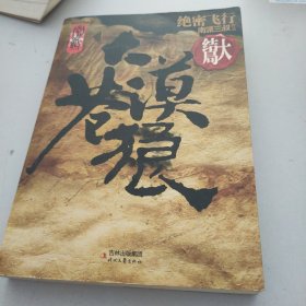 大漠苍狼：绝密飞行